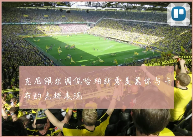 克尼佩尔调侃哈珀新秀羡慕你与卡布的光辉表现
